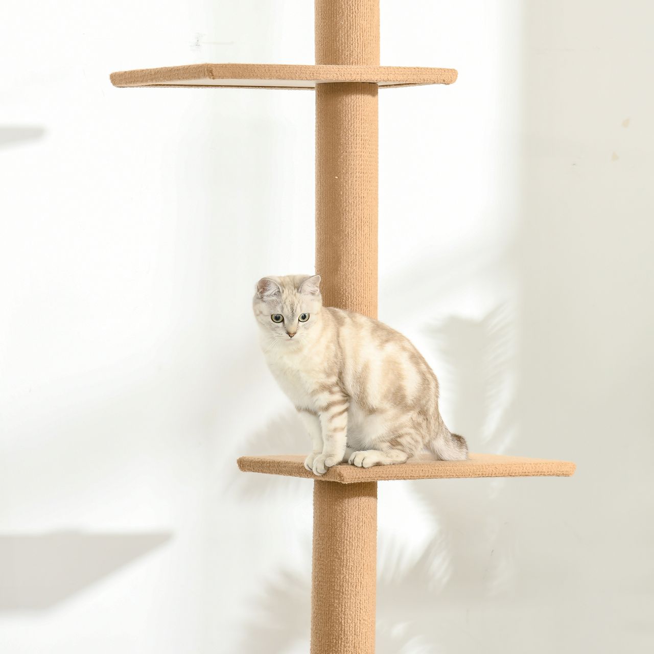 PawHut Kratzbaum Katzenbaum Kletterbaum für Katzen Höhenverstellbar Spielbaum Hellbraun 43x27x228-260 cm