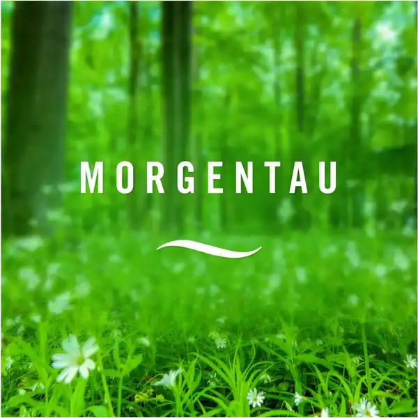 Lufterfrischer Extra Stark Morgentau