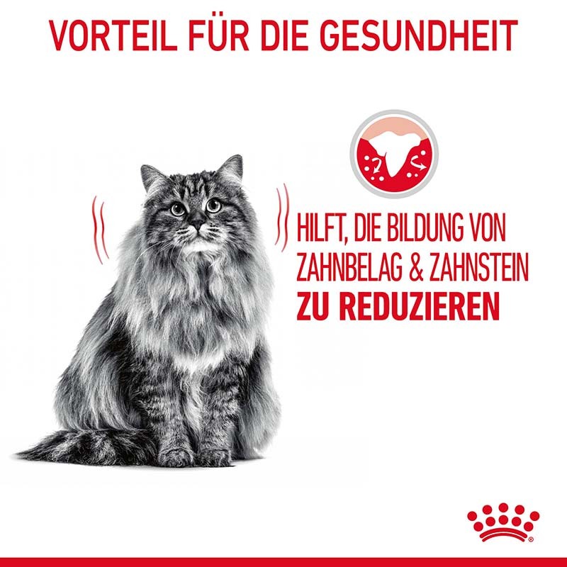 ROYAL CANIN Trockenfutter ROYAL CANIN Dental Care 2x8 kg