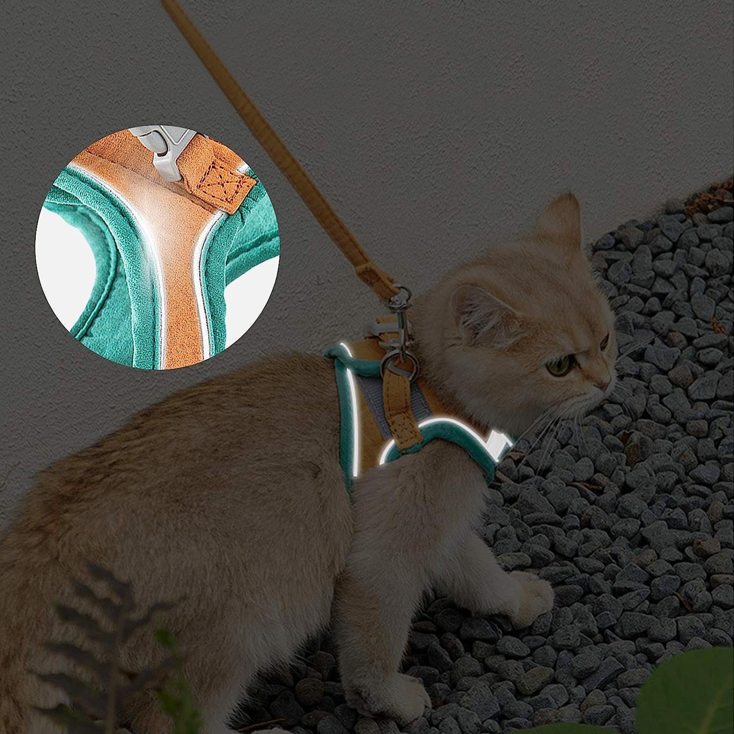 EBUY Führleine Verstellbares Geschirr für kleine Katzen, Kunstleder (1-tlg)