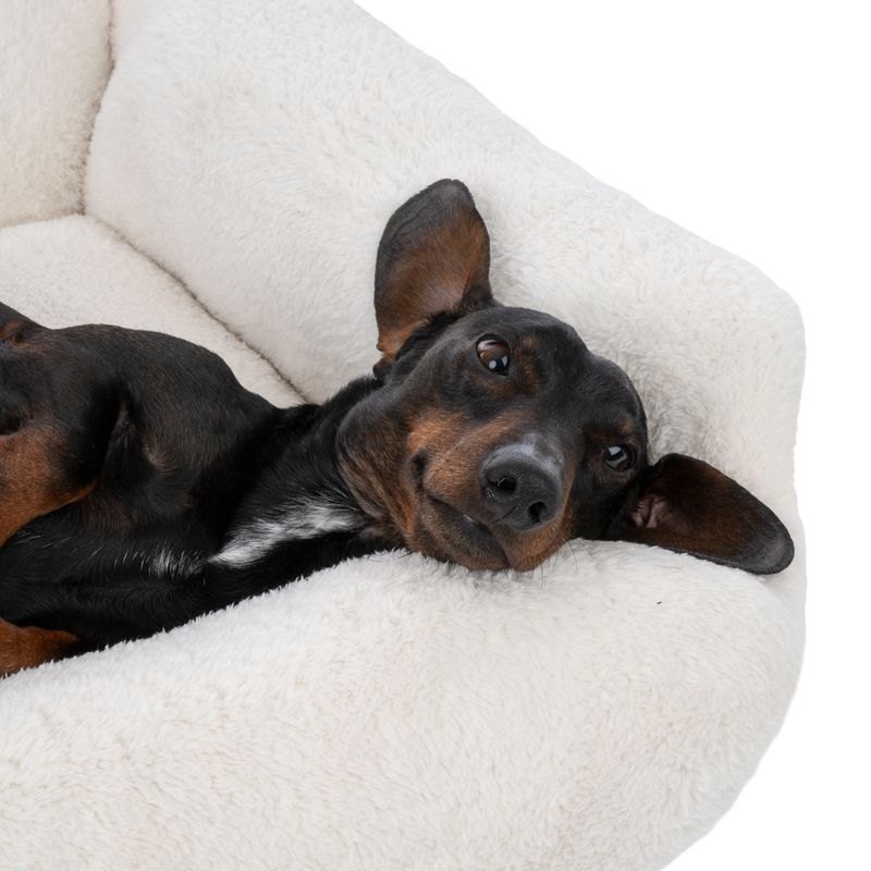 TIAKI Hundebett Lazy Bear, ecru zu TOP-Preisen