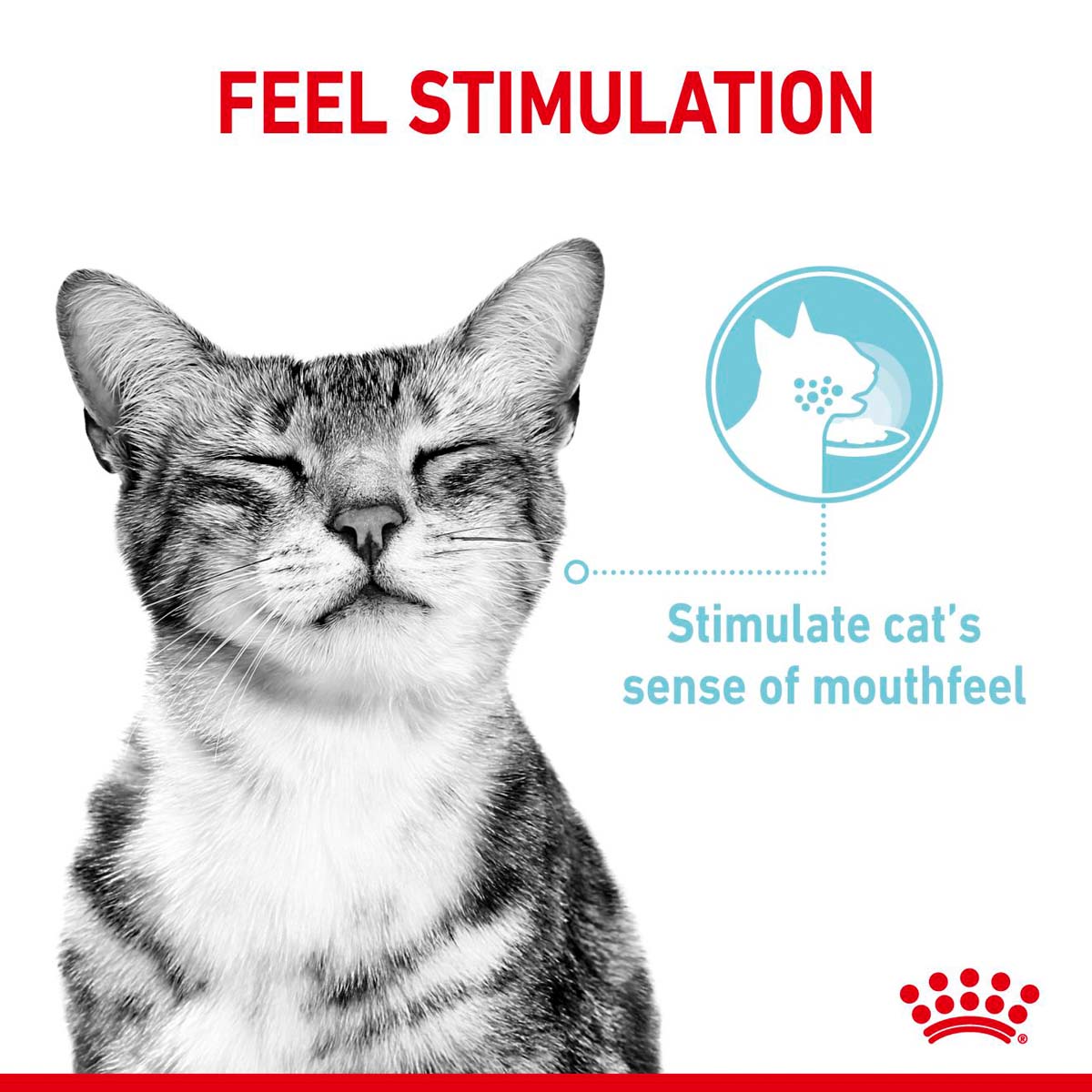 Royal Canin Sensory Feel Jelly günstig kaufen