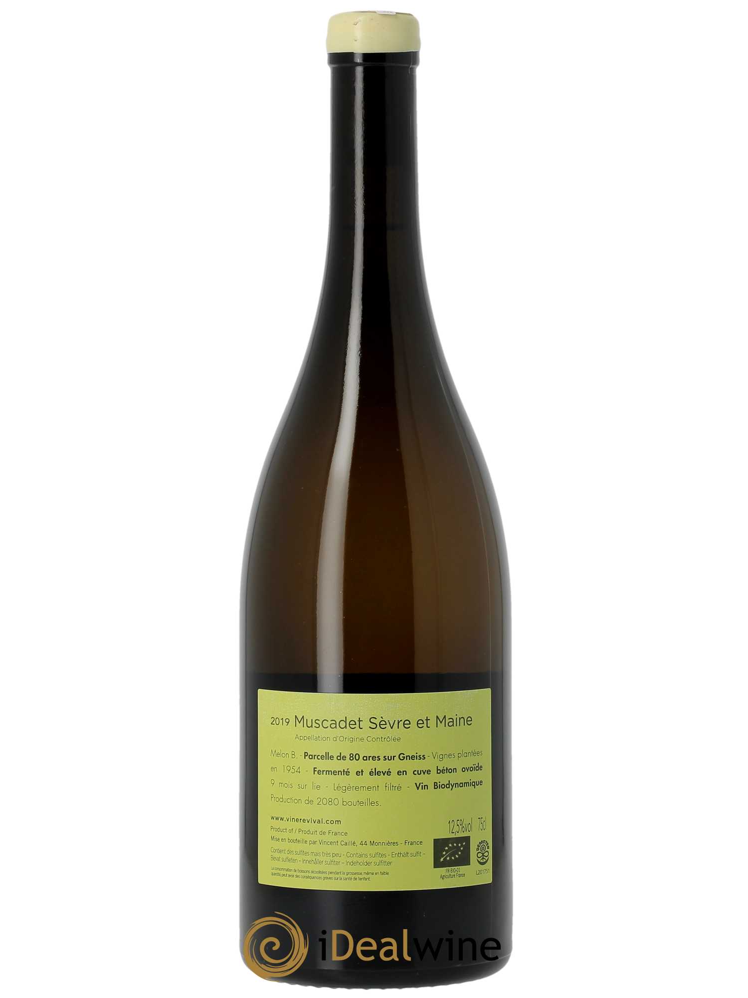 Muscadet-Sèvre-et-Maine Terre de Gneiss Le Fay d'Homme  2019 - Lot de 1 Bouteille