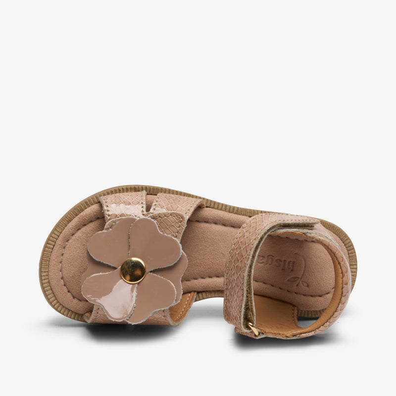 barbara o camel croco - Braun