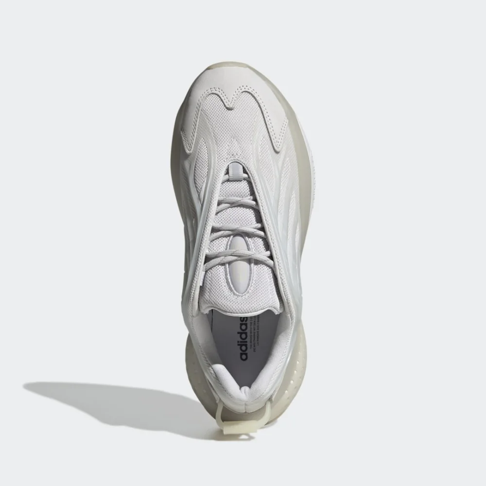 adidas Ozrah W GW6818 / grau