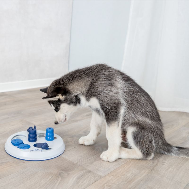 Trixie Intelligenzpielzeug Dog Activity Flip Board