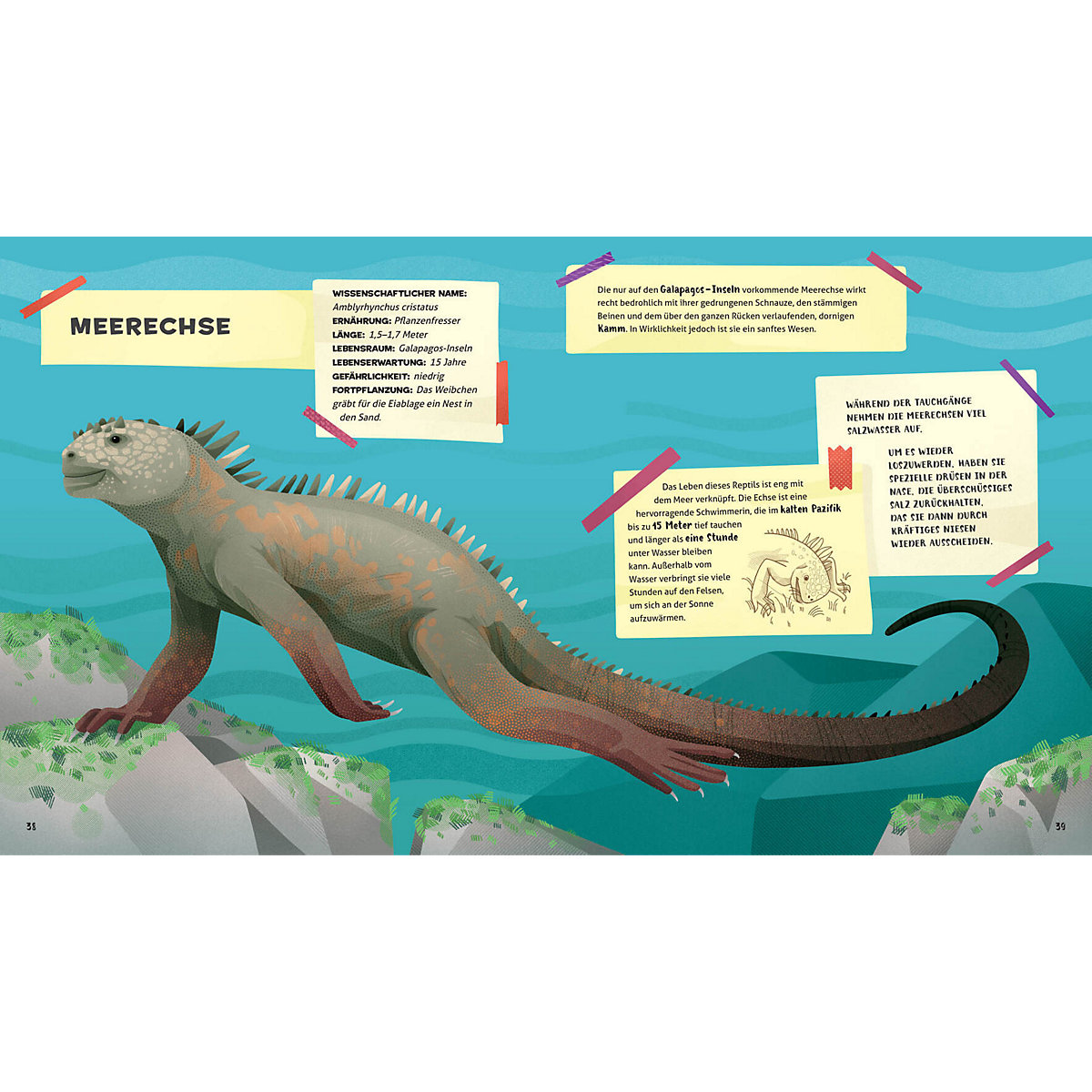 Besonders und wunderbar: Reptilien