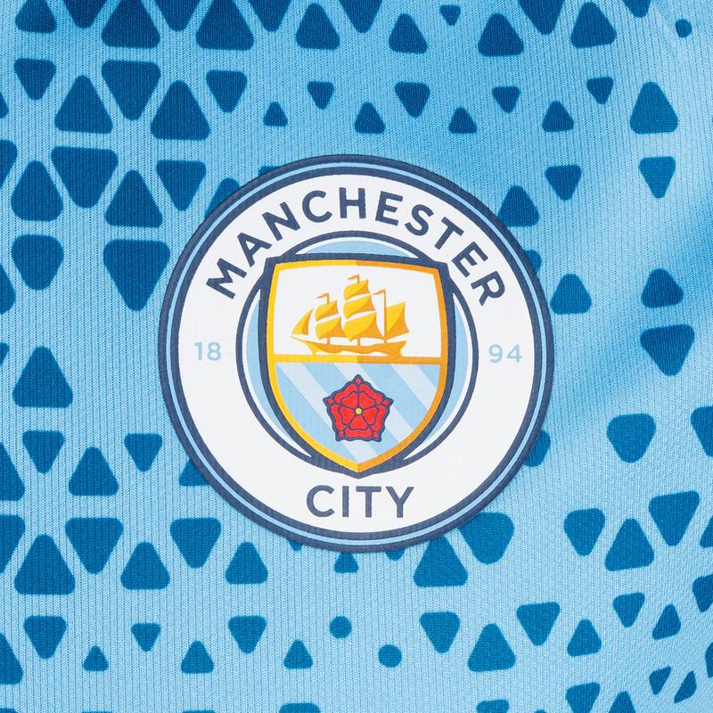 PUMA Manchester City T-Shirt Herren