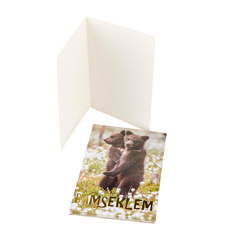 Kort bamseklem, 2 bjørner