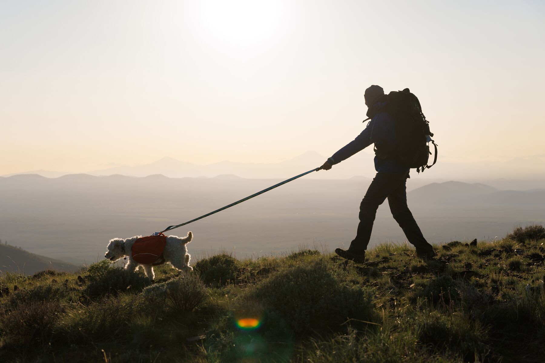 Ruffwear Hundeleinen Ruffwear Reflektierende Hundeleine Crag™ blau/ türkis/ gelb