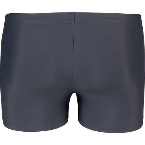 BADEHOSE MEN'S SWIMSUIT SHORT GRAPHIC EMS