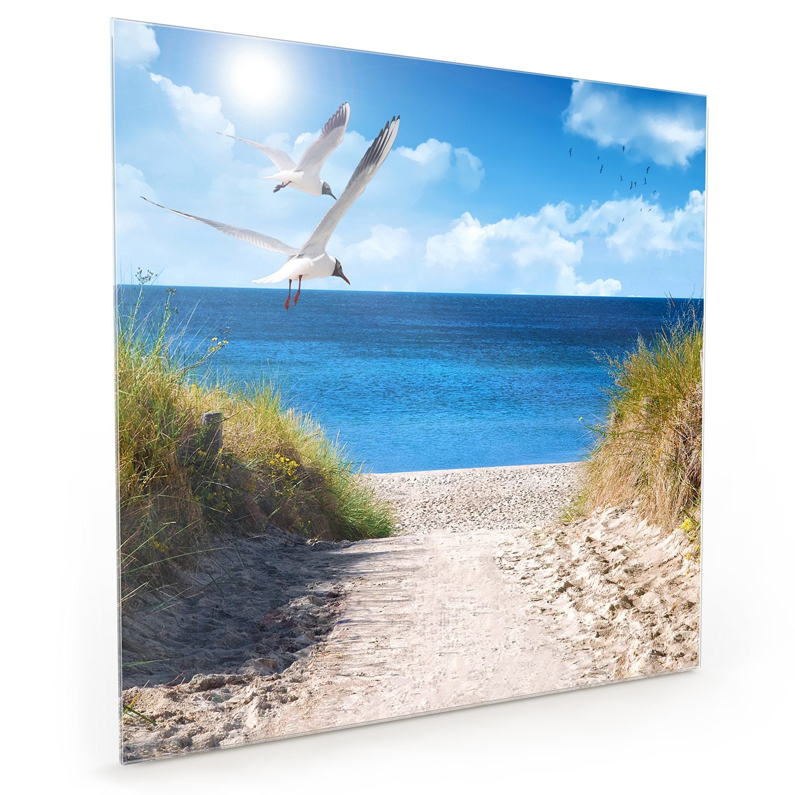 Primedeco Küchenrückwand Küchenrückwand Spritzschutz Glas mit Motiv Möwen am Meer