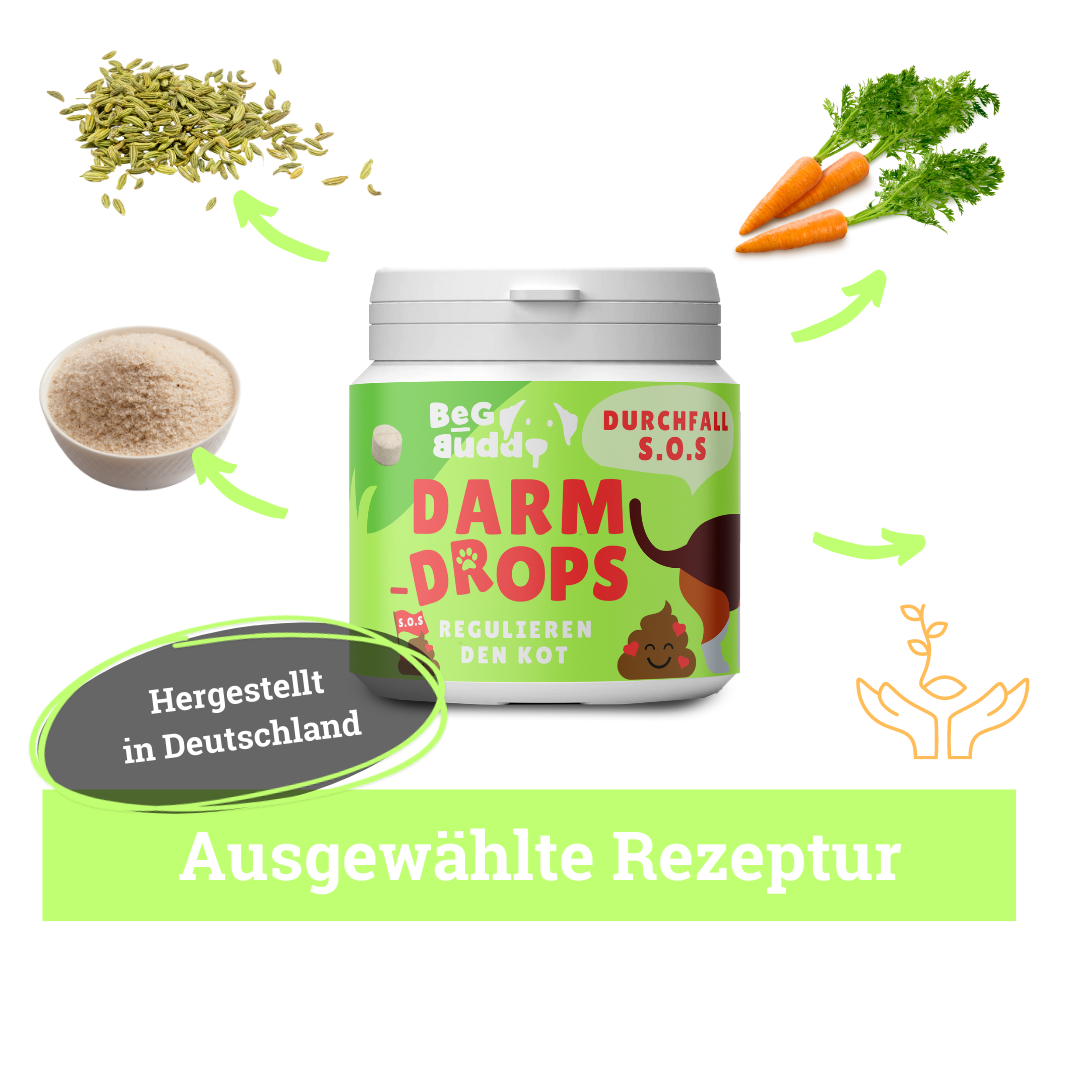 BeG Buddy Ergänzungsfutter & Aufzucht BeG Buddy Magen & Darm Tabletten Hund, Präbiotika zum Darmaufbau, Verdauung, Durchfall