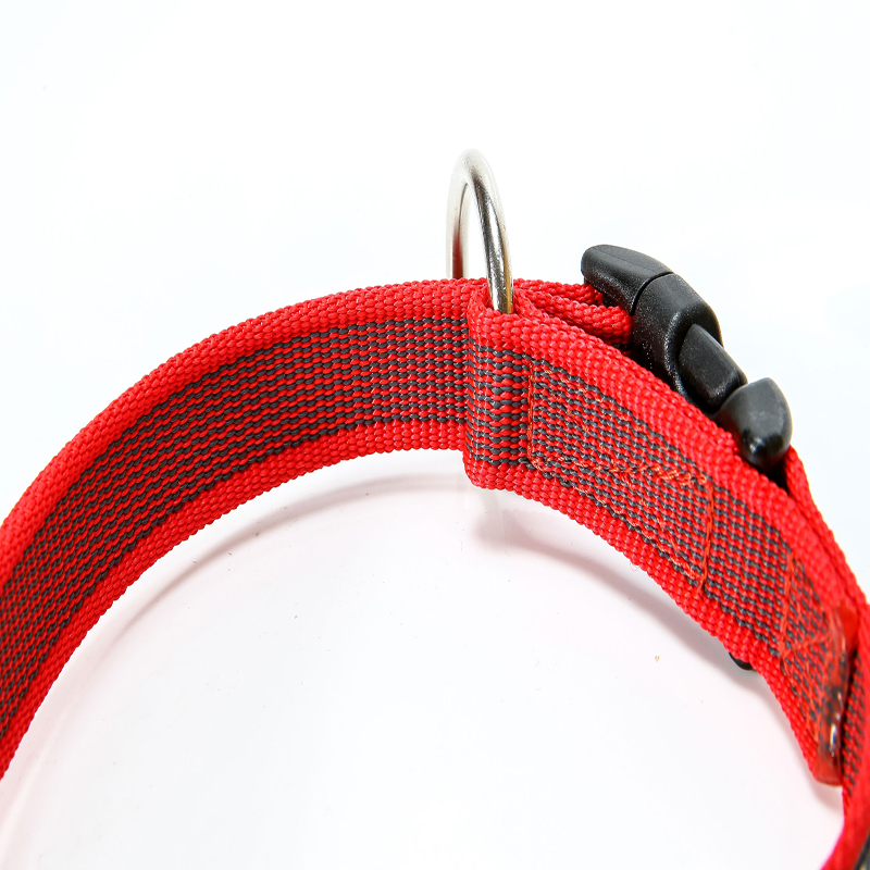 JULIUS-K9 Hundehalsbänder JULIUS-K9 Halsband 20mm x 27-42cm rot/ grau