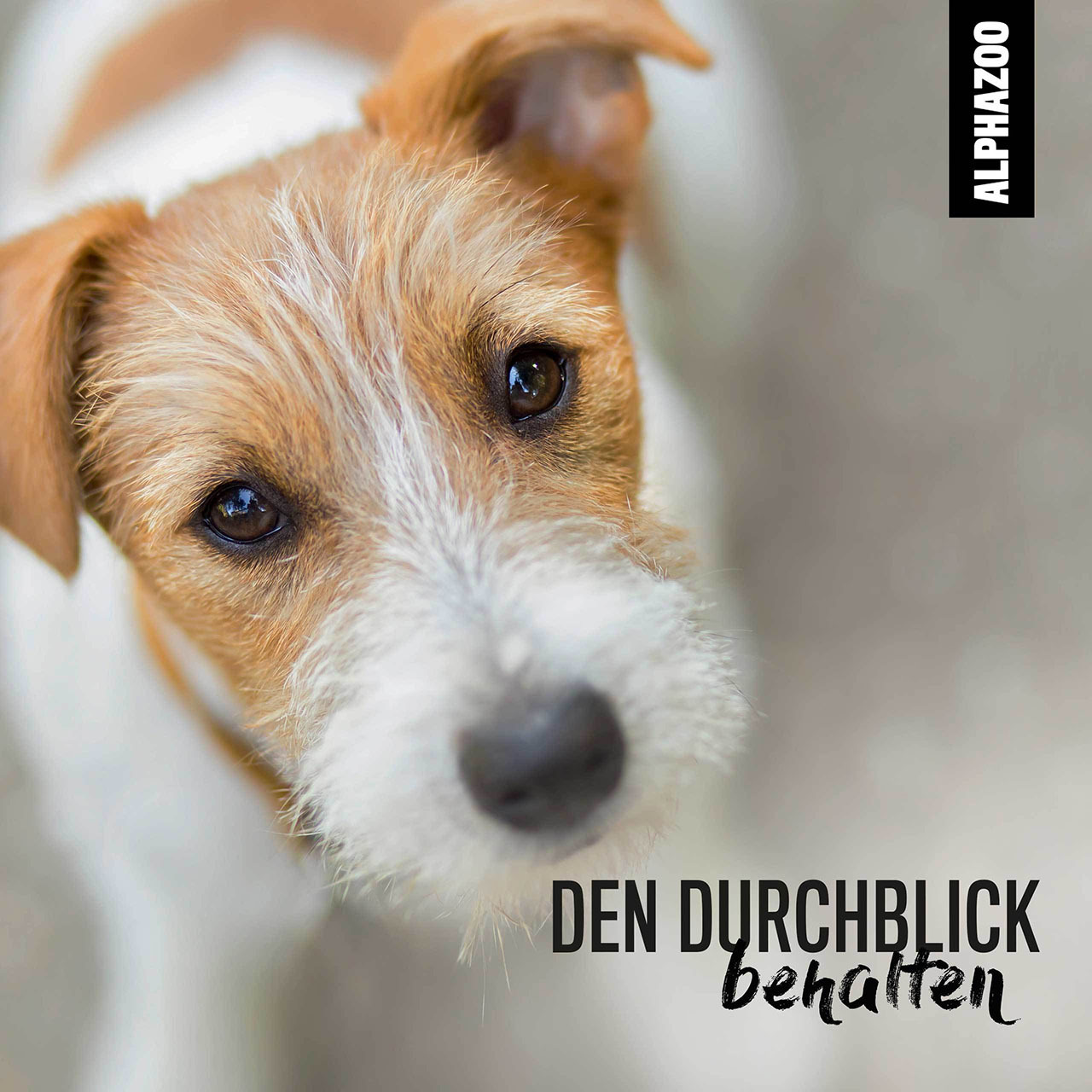 ALPHAZOO Augen- & Ohrenpflege ALPHAZOO Sanfte Augenpflege 200ml - Durchblick für Hunde, Katzen, Haus- und Hoftiere