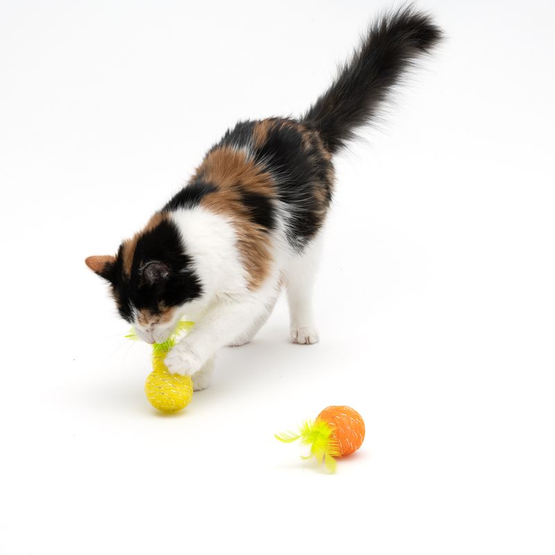 TIAKI Katzenspielzeug-Set Birne & Orange zu TOP-Preisen | bitiba