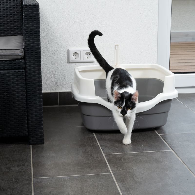 TIAKI Schalentoilette Stormy zu TOP-Preisen