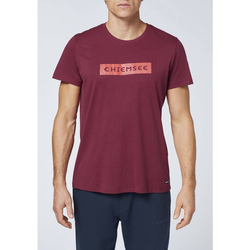 Chiemsee T-Shirt T-Shirt Herren