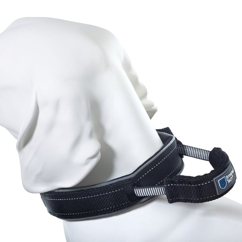 ArmoredTech Dog Control Halsband, schwarz zu TOP-Preisen | bitiba
