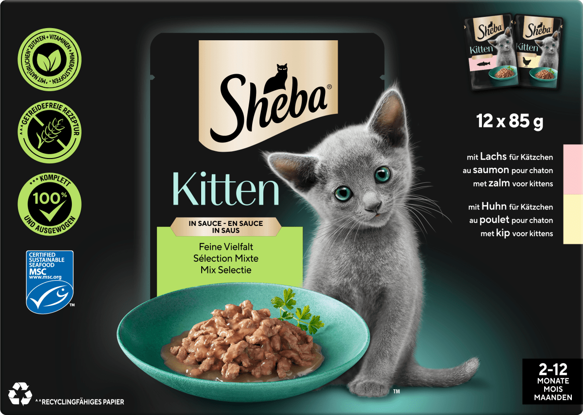 Nassfutter Katze Kitten mit Lachs & Huhn, feine Vielfalt in Sauce, Junior Multipack (12x85 g), 1,02 kg