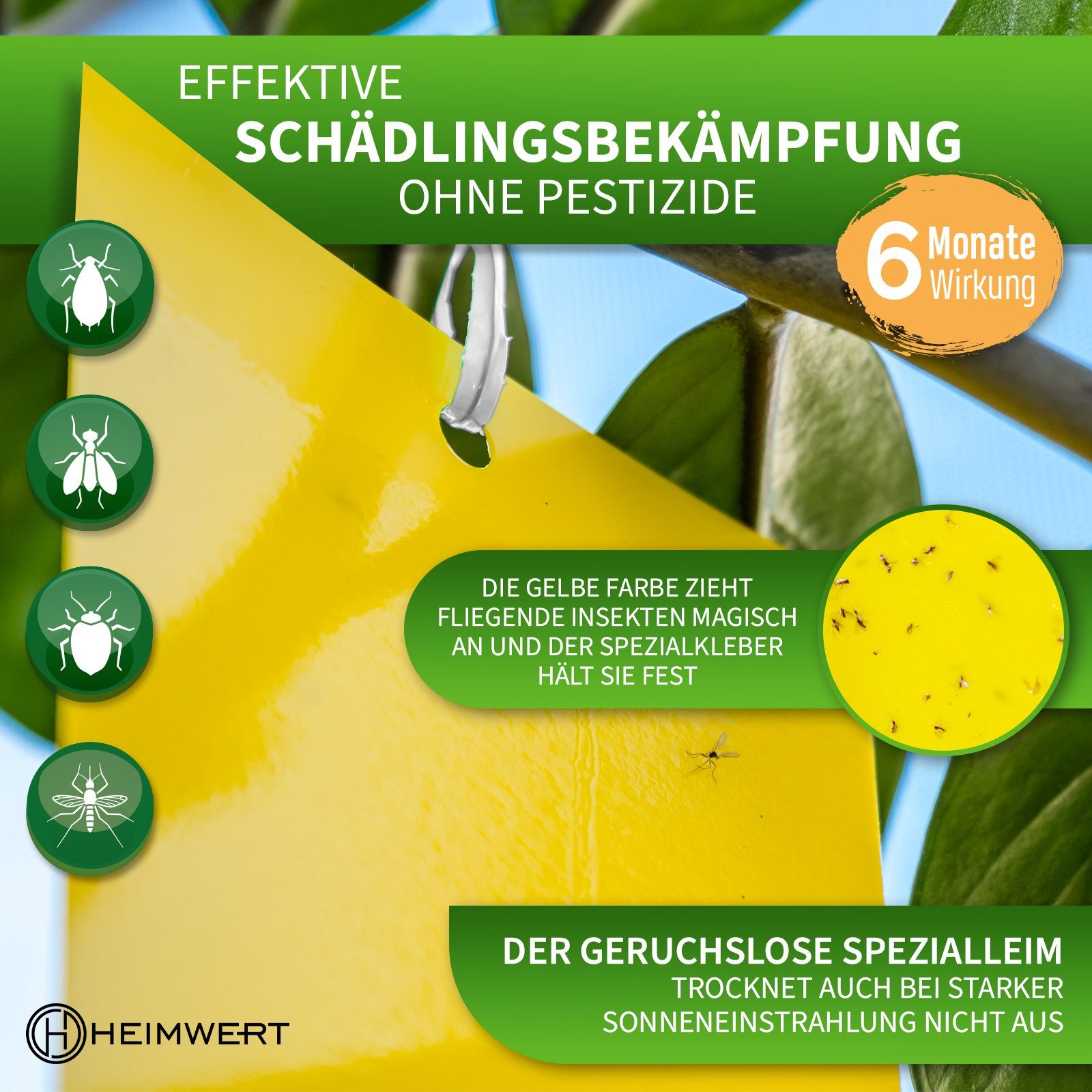 HEIMWERT Klebefalle Gelbsticker Gelbtafeln XXL, 6 Monate Langzeit teilbar mit 20 XXL Erdspießen und 20 Bindedrähten
