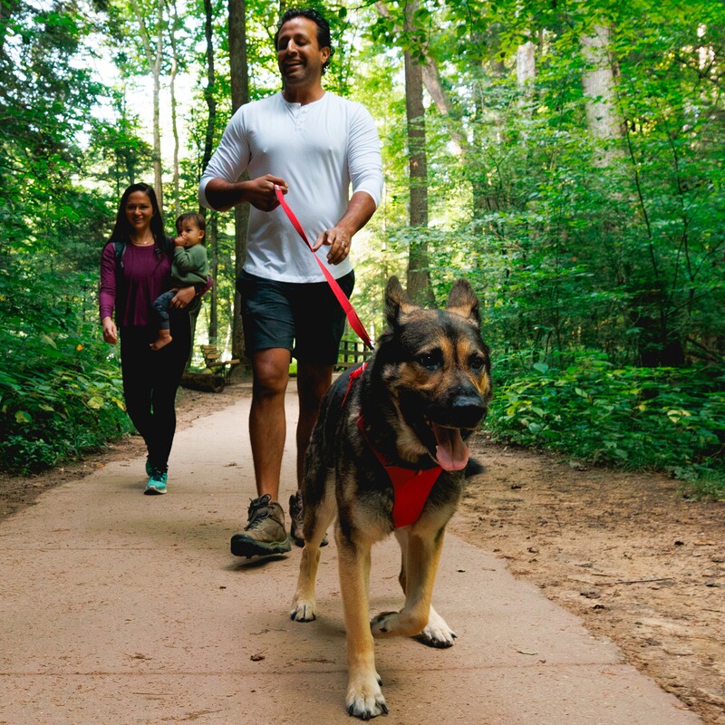 Ruffwear Hundegeschirr Front Range&reg; neues Modell