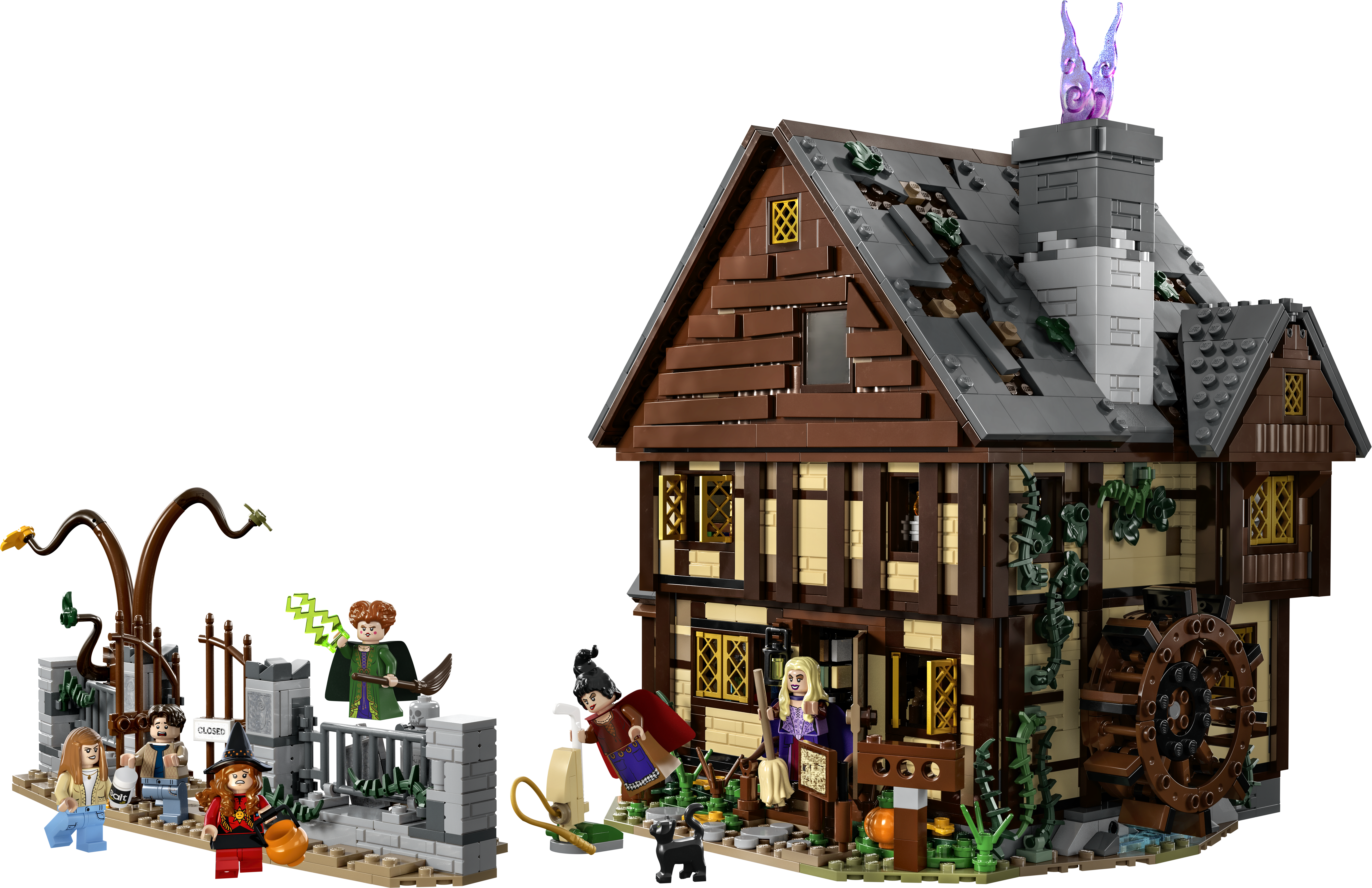 Hocus Pocus Disney : le manoir des sœurs Sanderson 21341