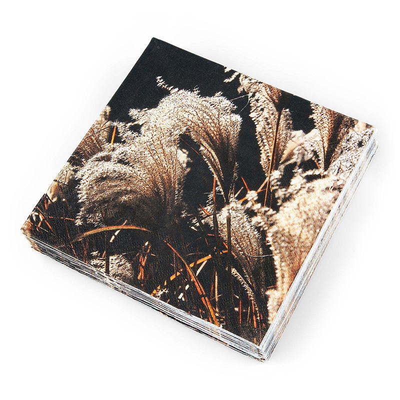 Vie Eco Servietter 20-pk 33x33 cm