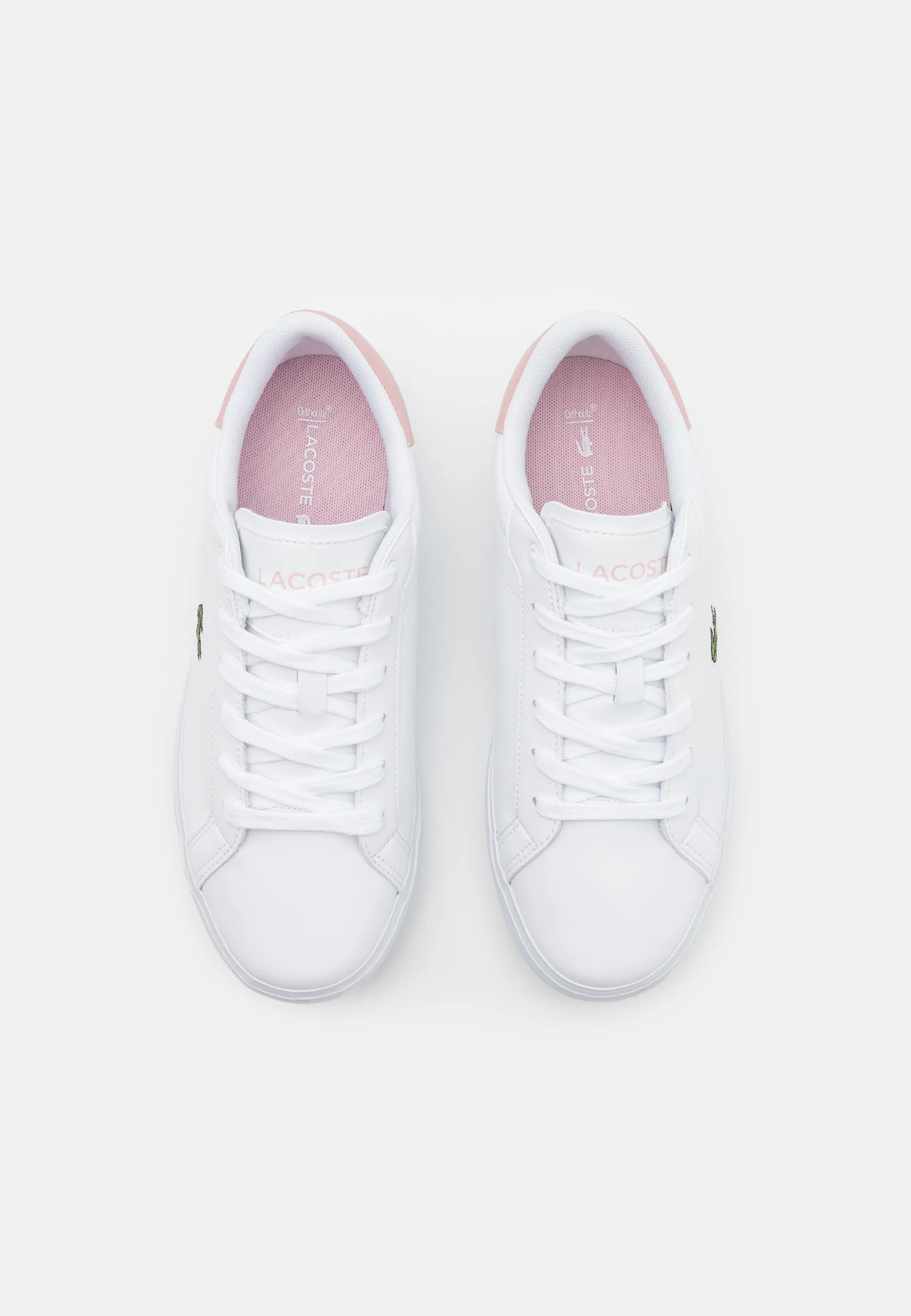 Lacoste POWERCOURT - Zapatillas bajas