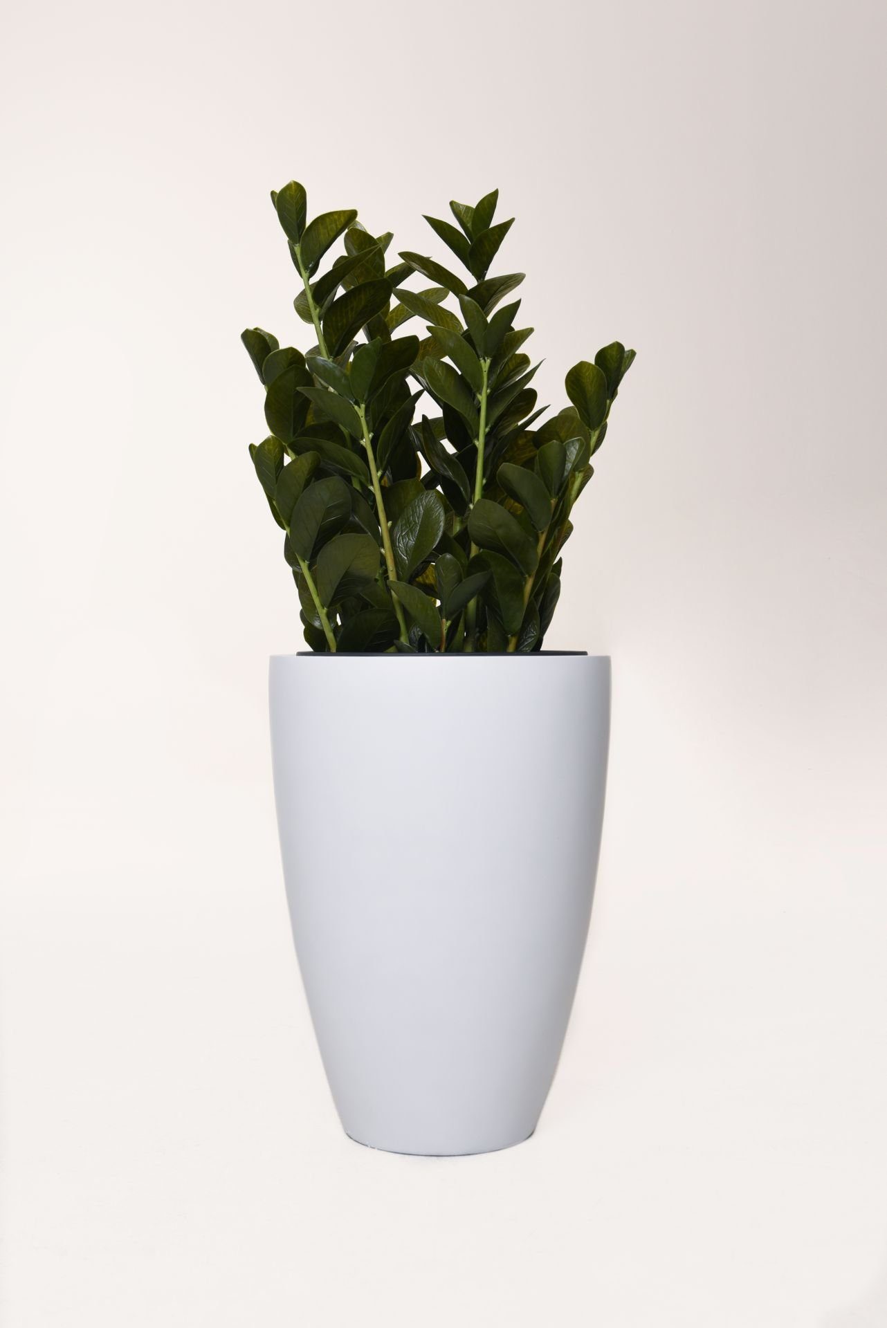VIVANNO Pflanzkübel Pflanzkübel Pflanzgefäß Blumenkübel Fiberglas OPALA weiß matt - 40x55