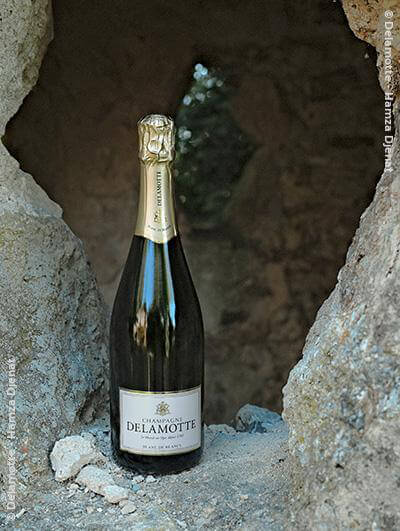 Delamotte : Blanc de Blancs