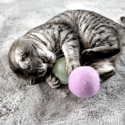 Aumüller Natürliche Wollfilzkugel
