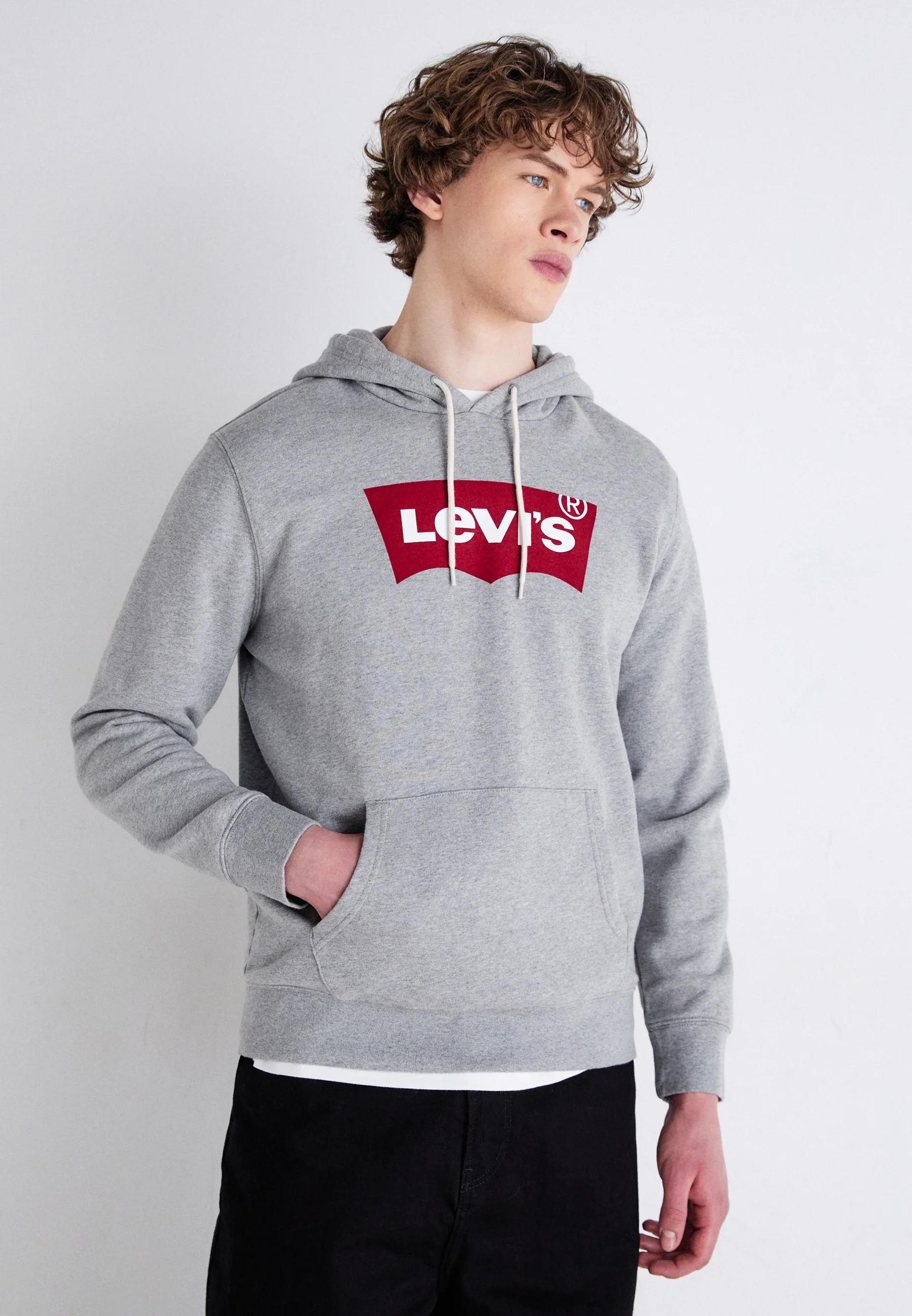Sudadera con capucha Levi's® STANDARD GRAPHIC - Sudadera con capucha