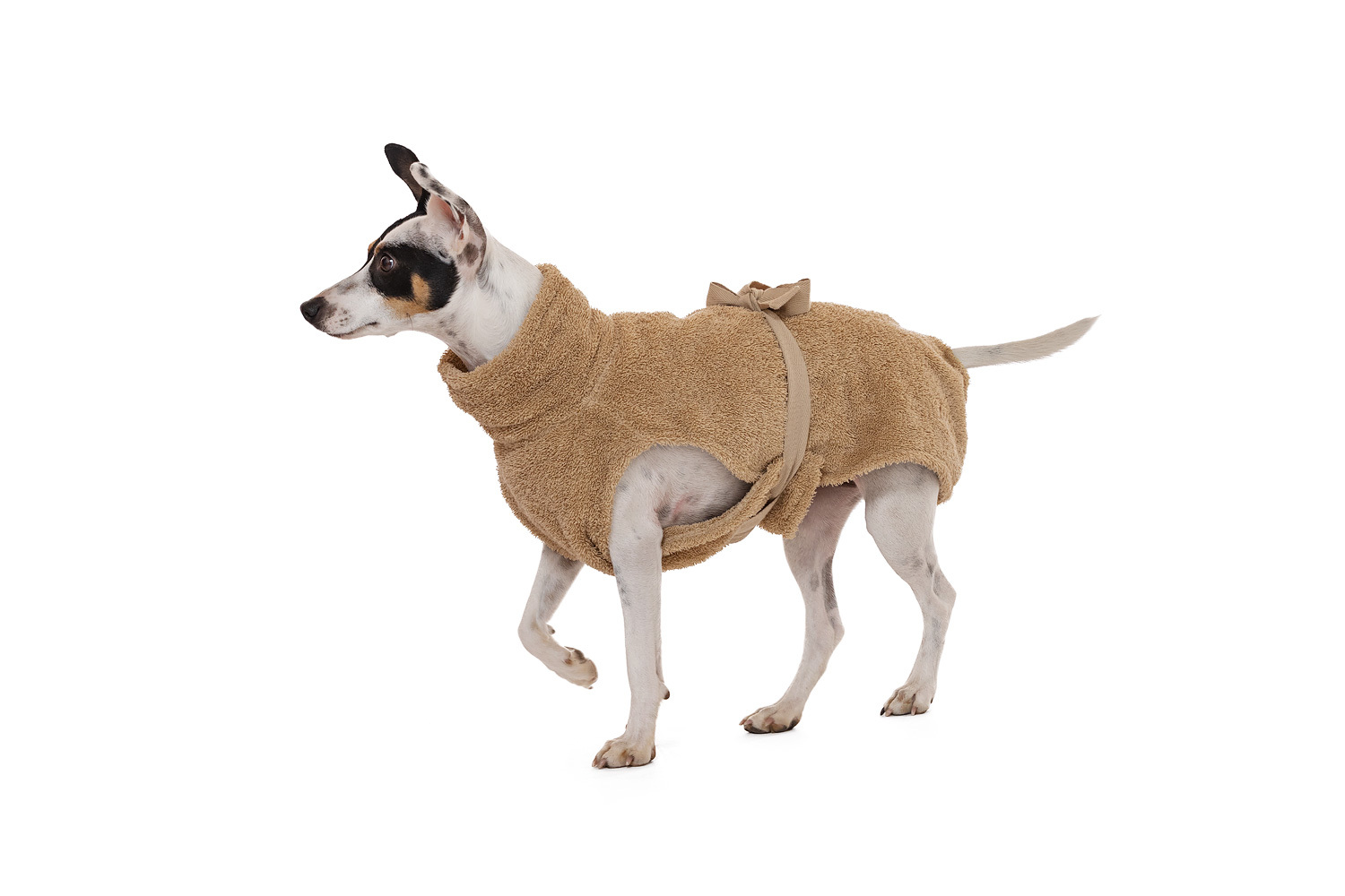 Lills Hundemäntel Lills Lill's Hundebademantel 