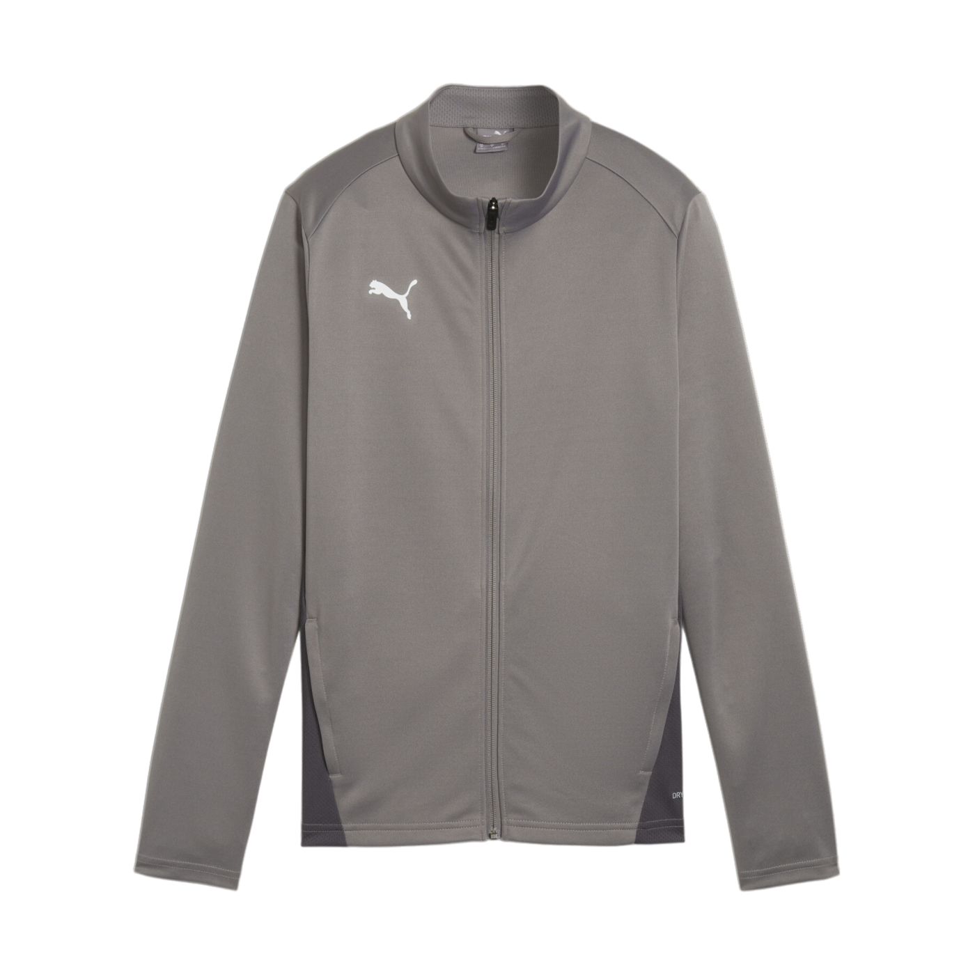 PUMA teamGOAL Trainingsjacke Damen Grau F13