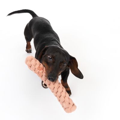 Modern Living Hundespielzeug Tarifa