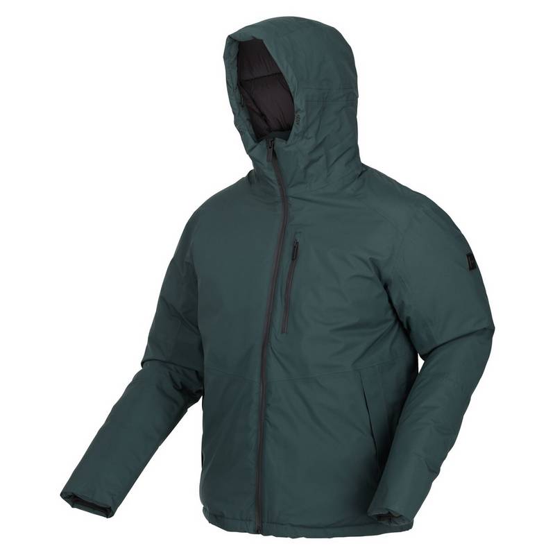Regatta Colehurst Winterjacke Herren