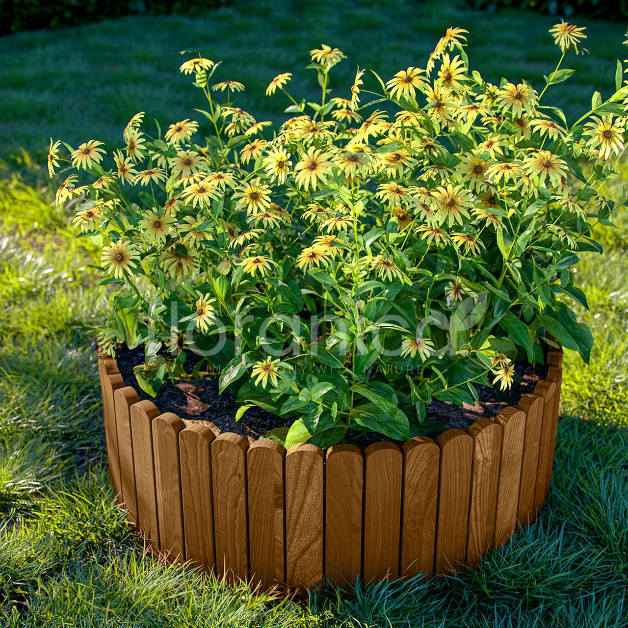 Pemicont Rollborder Flexibler Holzzaun Rolborder Beeteinfassung Rasenkante Gartenzaun