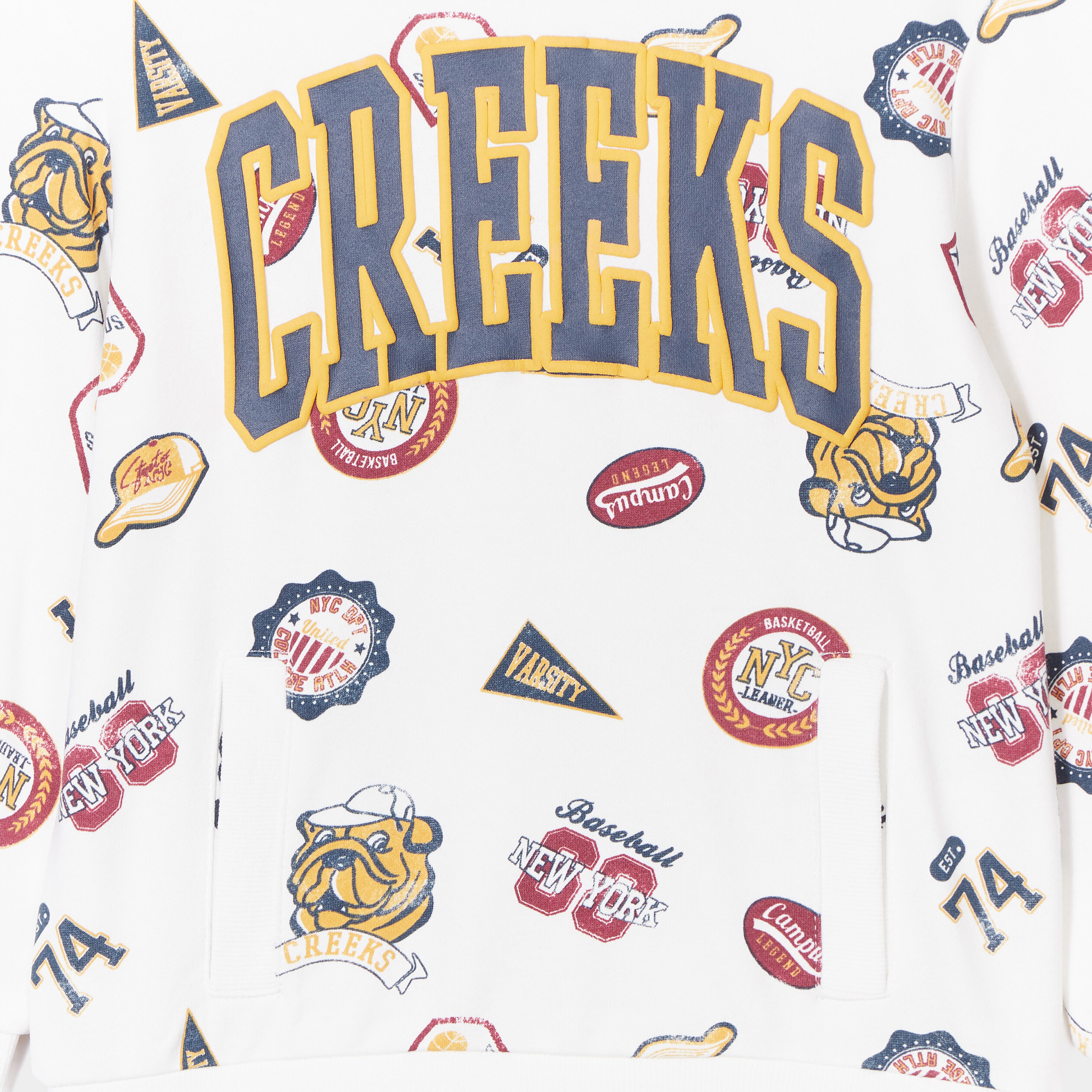 Sweat à capuche hoodie Creeks blanc garçon | La Halle