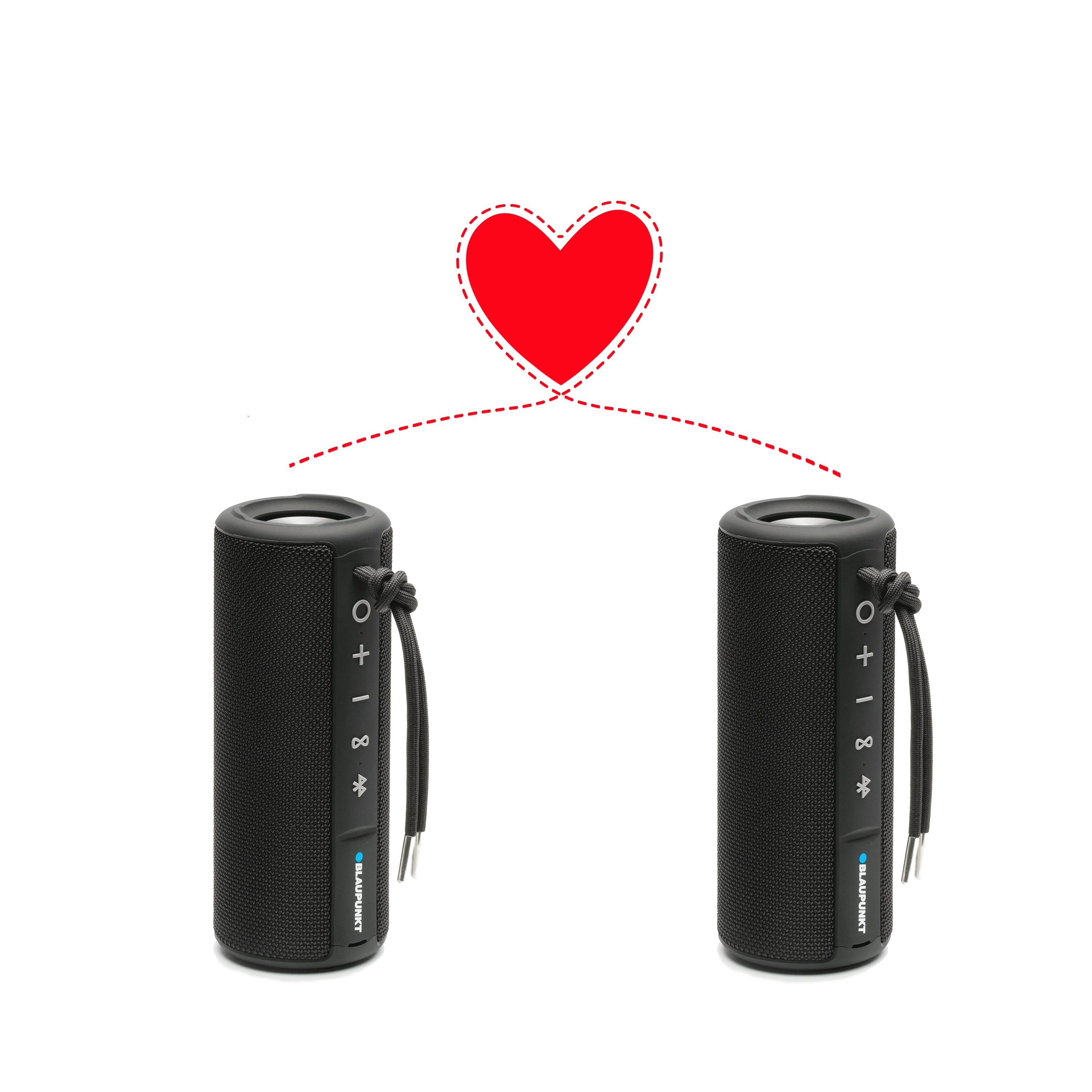 Blaupunkt BT 202 Bluetooth-Lautsprecher (10 W)