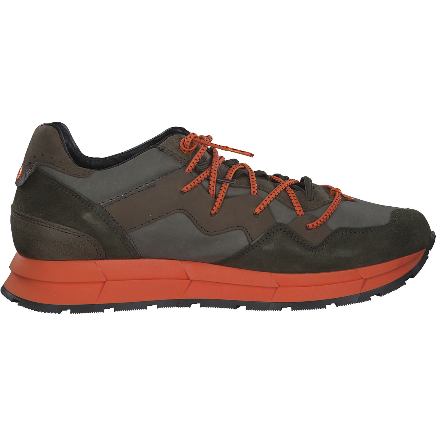 Cetti C1327 EXP, Klassische- & Business Schuhe, Herren, Grün