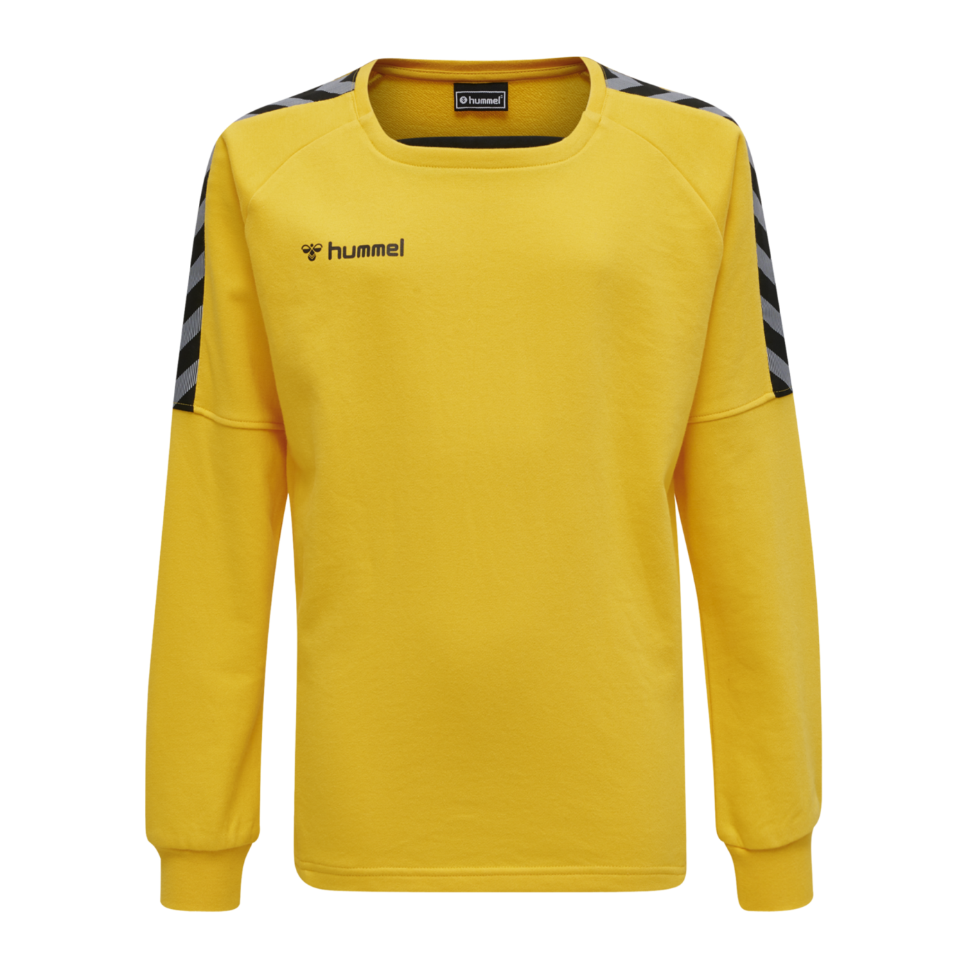 Hummel Authentic Training Sweatshirt Kids F5001