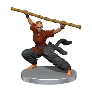 Pathfinder Battles Miniaturen: Impossible Lands - Heroes and Villains Boxed Set (8) (pre-painted)