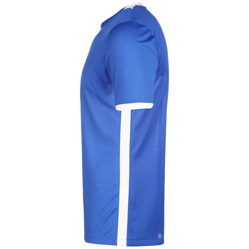 Nike Challenge IV Trikot Herren