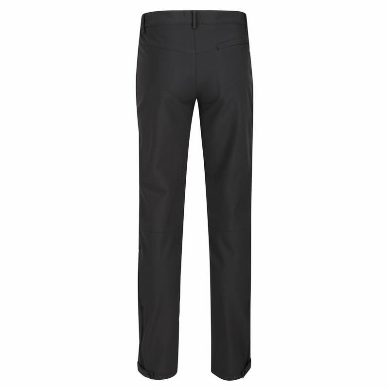 Regatta Geo II Wanderhose Herren
