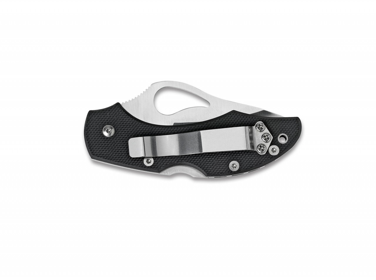 Robin G10