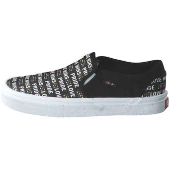 Vans WM Asher Skate Sneaker in schwarz