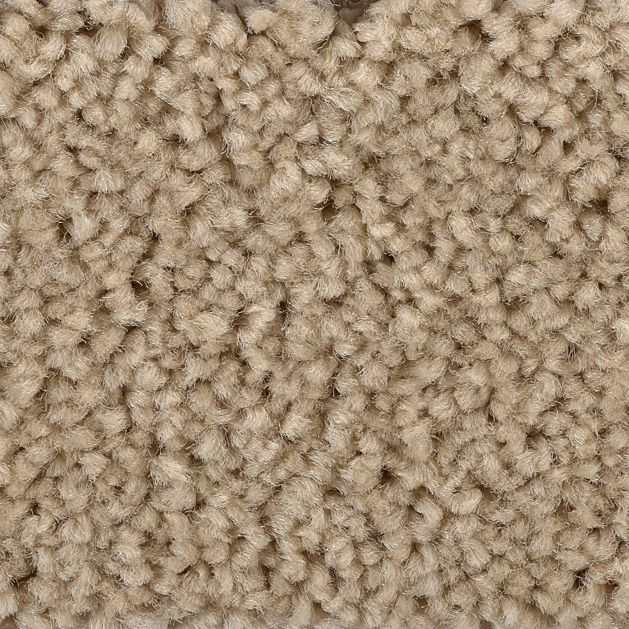 Teppichboden Veloursteppich Pegasus, Bodenmeister, rechteckig, Höhe: 10 mm, Meterware, Wohnzimmer, Schlafzimmer, Kinderzimmer, Breite 400/500 cm