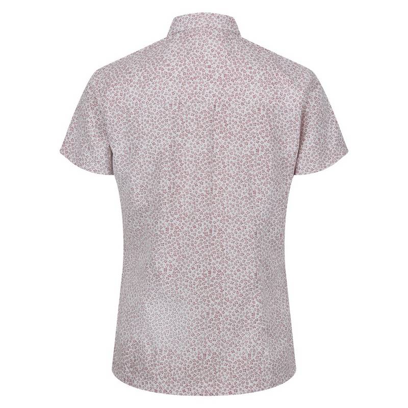 Regatta Mindano VII Funktionsbluse Damen