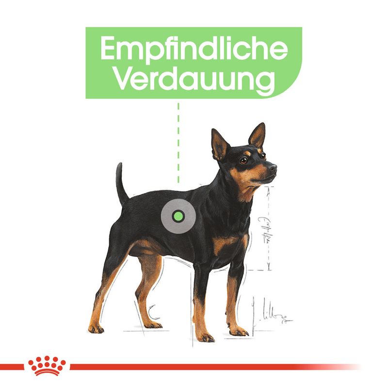 Royal Cani Digestive Care Mousse zu TOP-Preisen | bitiba %